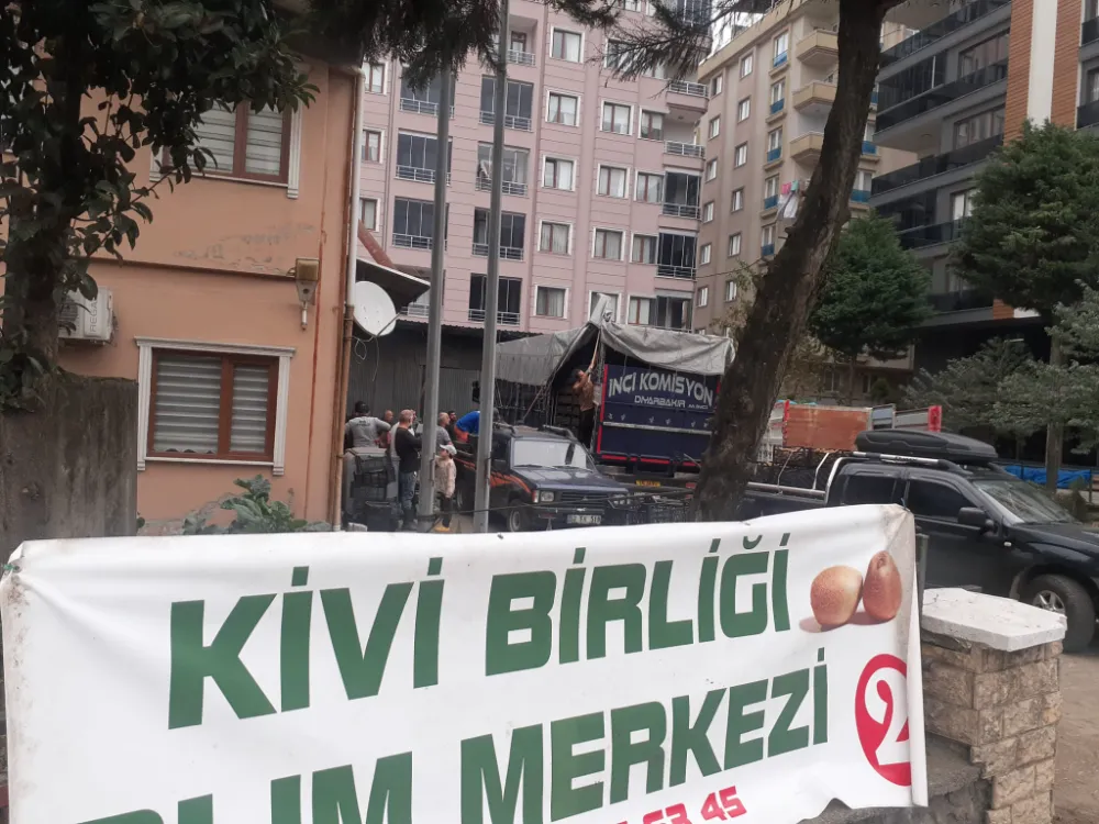  2025 YILI KIVİ ALIMLARI BAŞLADI....ODAMIZA AİT EK HİZMET BİNASI KİVİ ÜRETİCİLERİMİZİN HİZMETİNDE...